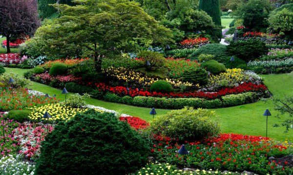 Gartenbaufirma Baselland